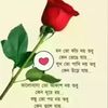 user59842087718540