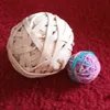 the daily elastic.