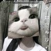 cpmobile59