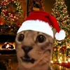 oihcatsippp