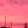 .hana8321
