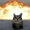 ctv_aov