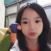 cat0.326jenny