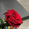 user6063094594617