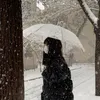 komorebi_49