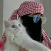 soufya.soufi8