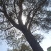 bachir1109