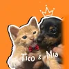 Tico e Mia🐾