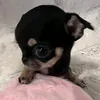 anna.rskh