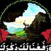 user089521156