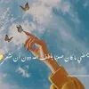 user8572521916857