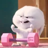 _paiuw