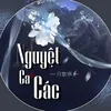 Nguyệt Ca Các | 月歌亭 ☾