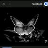 koko_20283