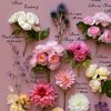 flowers170192