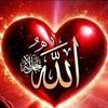 her.gnmiza.allah.u