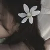 user341378108