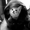 void.moto