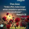 edenir.oliveira.m