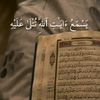 user8802617250308