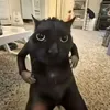itzmr.drowningfis
