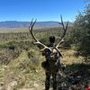 bridger236