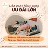footbodymassagebinhtan