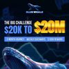 ClassicWhale