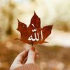 user594490956
