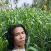 limar.bolo