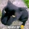 orgjappo