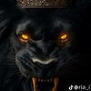 ahmeddhefeer