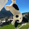 Viral Furball