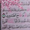 .rawda78