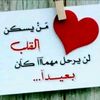 user3360737055610