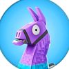 auntyllama4t5