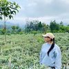 mila.dewi977
