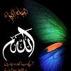 asad6127