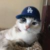 yaaping7