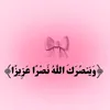 user2362303825607