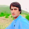 qismatshah19