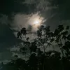 its_me_lowest