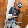 alesade.yunefri