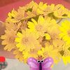 mk.sumon.khan8