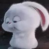 ko.xinh.hay.khc