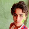 kabootar.bazz253