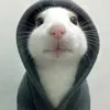 kitti.vagyok0