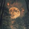 the.moon9589