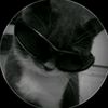 xynnz51
