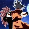 kakrot.goku